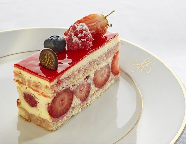 Fraisier (Individuel)